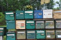 Caixas de correio em estrada rural na região de Cacao, na Guiana Francesa